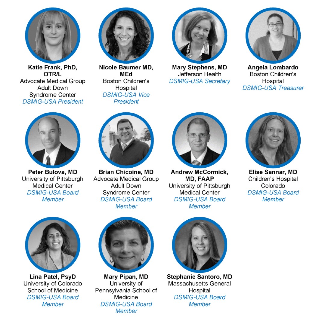 DSMIG Board of Directors